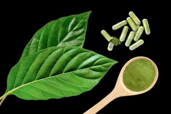 How To Make Kratom Tea: 2024’s Best Brewing Tips