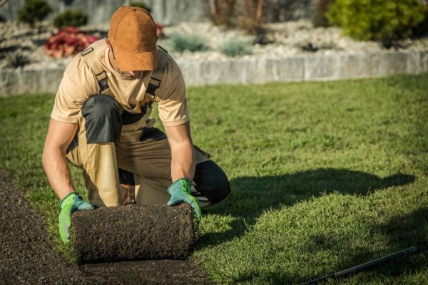 How to Hire a Landscaper: The Ultimate Guide