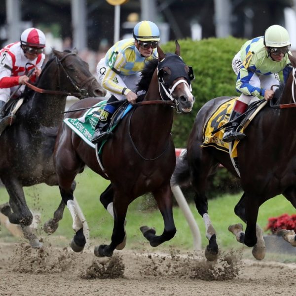 Best Betting Strategies For Horse Racing : How To Bet on Horses