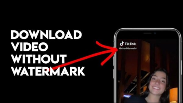 Solusi Terbaik Untuk Download Video TikTok Tanpa Watermark