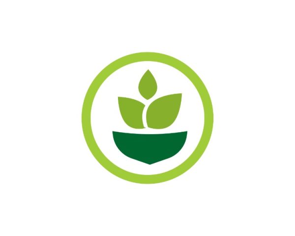 Ekologické podmienky pre rast zelenej spoločnosti