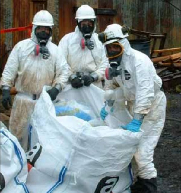 Protect Your Home: An In-depth Guide to Choosing the Right Mold Removal Company