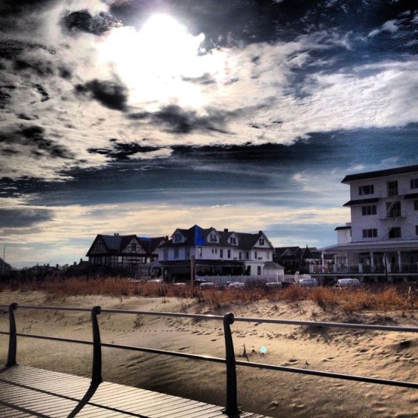 Elevate Your Landscape: Expert Tree Services Across Monmouth County, NJ