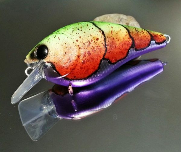 Revolutionize Your Fishing Experience with Custom Lures