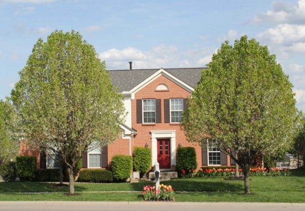 Discovering Your Dream Dwelling: Insights into the Real Estate Market